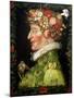 Spring, from a Series Depicting the Four Seasons, 1573-Giuseppe Arcimboldo-Mounted Giclee Print