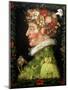 Spring, from a Series Depicting the Four Seasons, 1573-Giuseppe Arcimboldo-Mounted Premium Giclee Print