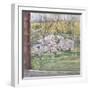 Spring from Our Window, 2005-Caroline Hervey-Bathurst-Framed Giclee Print