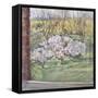 Spring from Our Window, 2005-Caroline Hervey-Bathurst-Framed Stretched Canvas