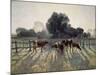 Spring Frost-Elioth Gruner-Mounted Giclee Print