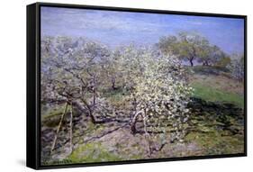Spring Fruit Tees in Bloom-Claude Monet-Framed Stretched Canvas