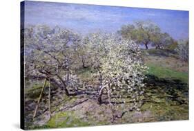 Spring Fruit Tees in Bloom-Claude Monet-Stretched Canvas