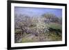 Spring Fruit Tees in Bloom-Claude Monet-Framed Art Print