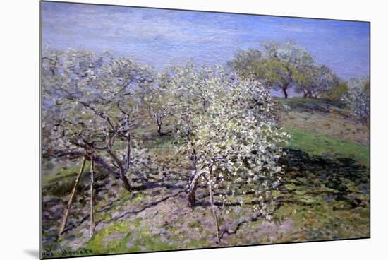 Spring Fruit Tees in Bloom-Claude Monet-Mounted Premium Giclee Print