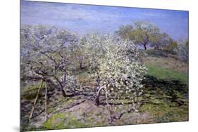 Spring Fruit Tees in Bloom-Claude Monet-Mounted Premium Giclee Print