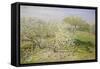 Spring (Fruit Trees in Bloom), 1873-Claude Monet-Framed Stretched Canvas