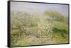 Spring (Fruit Trees in Bloom), 1873-Claude Monet-Framed Stretched Canvas