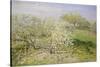 Spring (Fruit Trees in Bloom), 1873-Claude Monet-Stretched Canvas