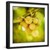 Spring Fruit-Jessica Rogers-Framed Giclee Print