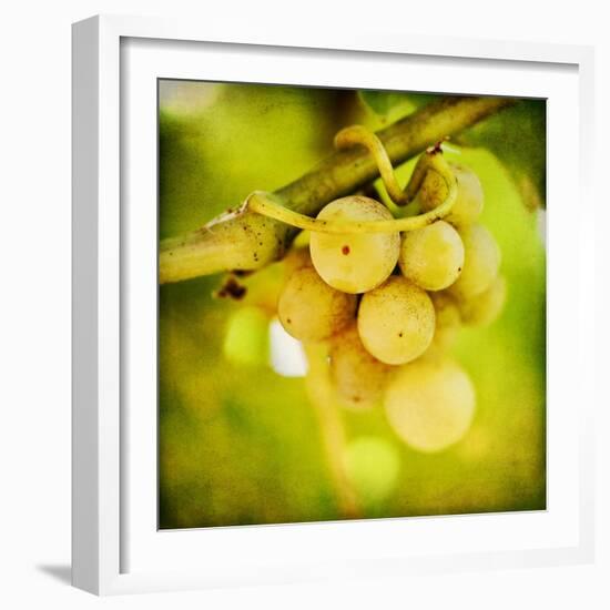 Spring Fruit-Jessica Rogers-Framed Giclee Print