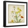 Spring Garden I-Judy Stalus-Framed Art Print