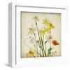 Spring Garden I-Judy Stalus-Framed Art Print