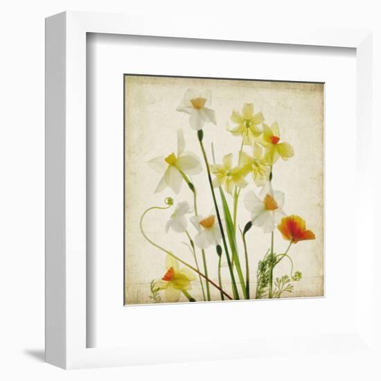 Spring Garden I-Judy Stalus-Framed Art Print