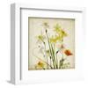 Spring Garden I-Judy Stalus-Framed Art Print