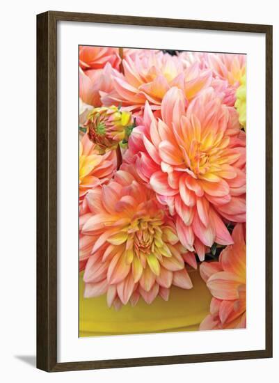 Spring Garden I-Maureen Love-Framed Photographic Print