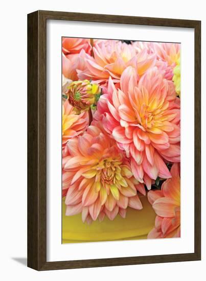 Spring Garden I-Maureen Love-Framed Photographic Print