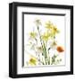 Spring Garden II-Judy Stalus-Framed Art Print