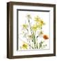 Spring Garden II-Judy Stalus-Framed Art Print