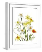 Spring Garden II-Judy Stalus-Framed Art Print