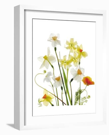 Spring Garden II-Judy Stalus-Framed Art Print