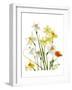 Spring Garden II-Judy Stalus-Framed Art Print