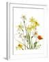 Spring Garden II-Judy Stalus-Framed Art Print