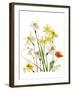 Spring Garden II-Judy Stalus-Framed Art Print