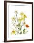 Spring Garden II-Judy Stalus-Framed Art Print