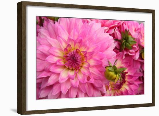 Spring Garden II-Maureen Love-Framed Photographic Print