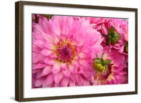 Spring Garden II-Maureen Love-Framed Photographic Print