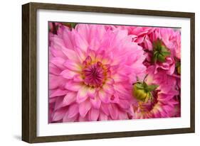 Spring Garden II-Maureen Love-Framed Photographic Print