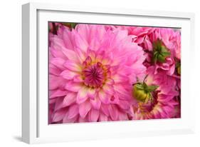 Spring Garden II-Maureen Love-Framed Photographic Print