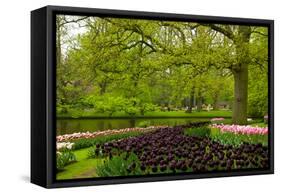 Spring Garden in Keukenhof, Holland-neirfy-Framed Stretched Canvas