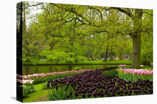 Spring Garden in Keukenhof, Holland-neirfy-Stretched Canvas