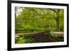 Spring Garden in Keukenhof, Holland-neirfy-Framed Photographic Print