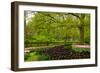 Spring Garden in Keukenhof, Holland-neirfy-Framed Photographic Print