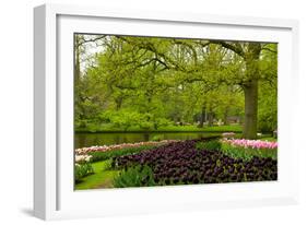 Spring Garden in Keukenhof, Holland-neirfy-Framed Photographic Print