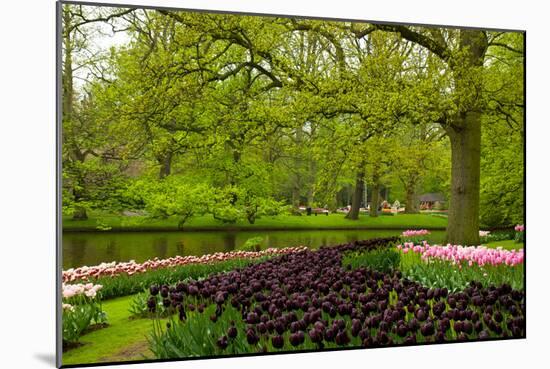 Spring Garden in Keukenhof, Holland-neirfy-Mounted Photographic Print