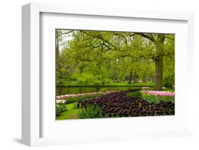 Spring Garden in Keukenhof, Holland-neirfy-Framed Photographic Print