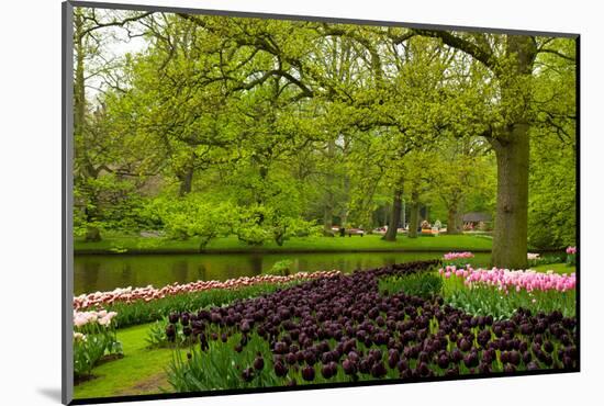 Spring Garden in Keukenhof, Holland-neirfy-Mounted Photographic Print