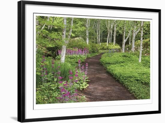 Spring Garden Path-Donald Paulson-Framed Giclee Print