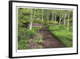 Spring Garden Path-Donald Paulson-Framed Giclee Print