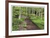 Spring Garden Path-Donald Paulson-Framed Giclee Print