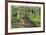 Spring Garden Path-Donald Paulson-Framed Giclee Print