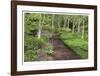 Spring Garden Path-Donald Paulson-Framed Giclee Print