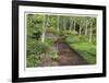 Spring Garden Path-Donald Paulson-Framed Giclee Print