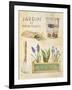 Spring Garden Poster-Angela Staehling-Framed Art Print