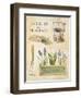 Spring Garden Poster-Angela Staehling-Framed Art Print