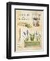 Spring Garden Poster-Angela Staehling-Framed Art Print